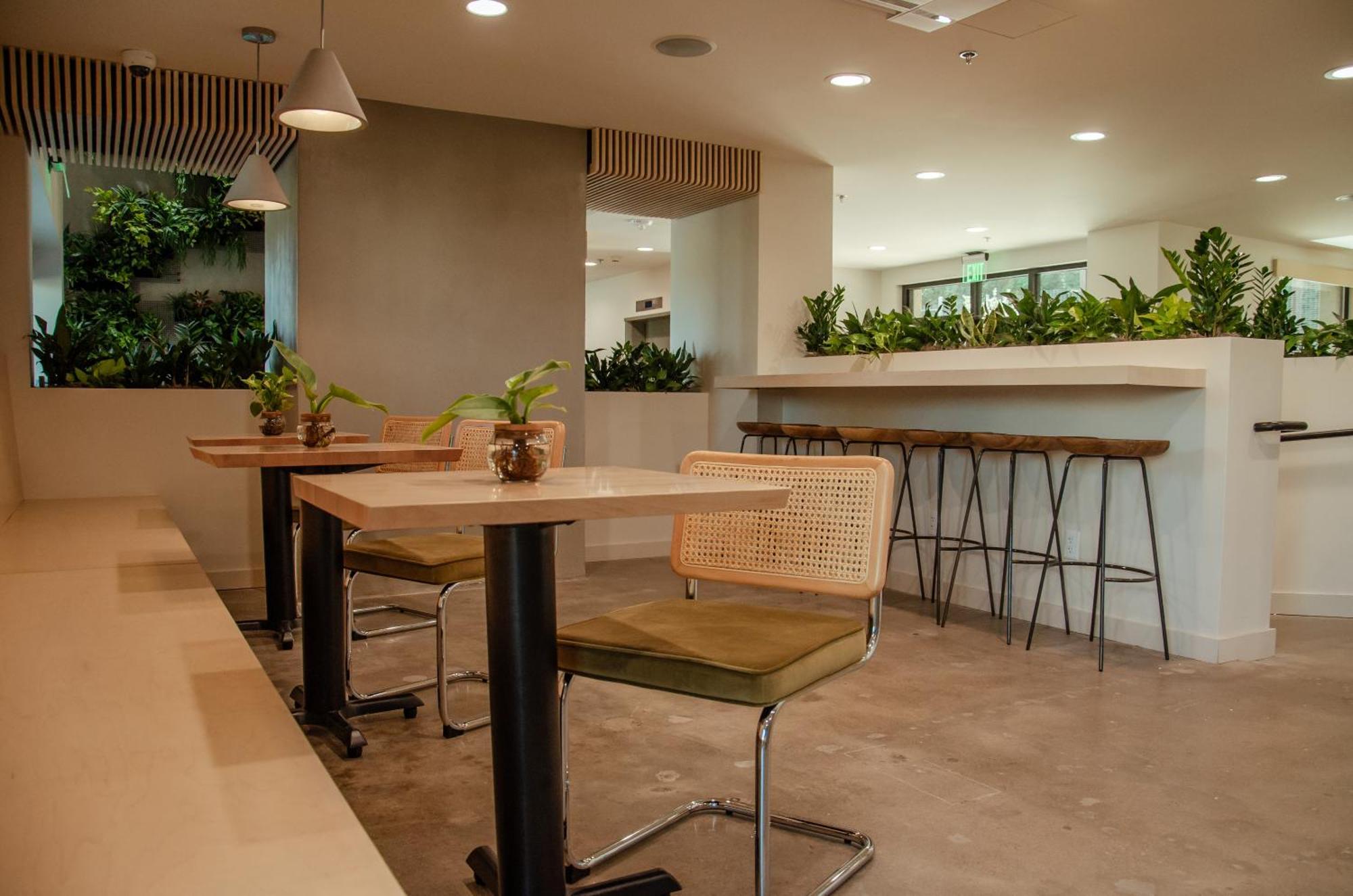 Brut Hotel Tulsa Zewnętrze zdjęcie